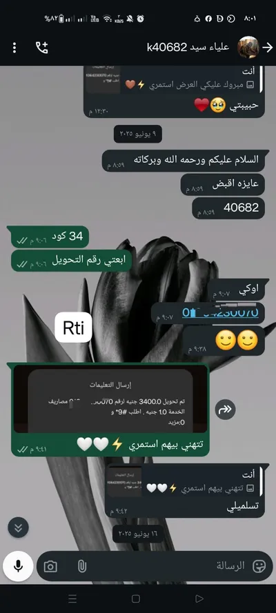 شغل للطلبه