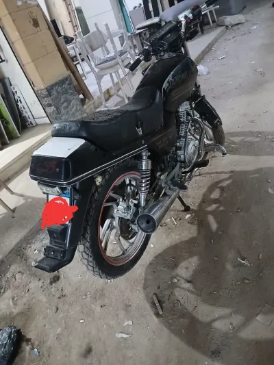 Halawa Alicanto 2020