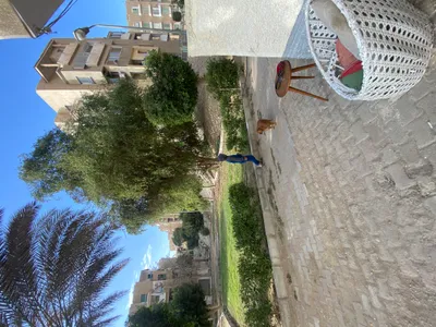 Apartment for sale in Third Settlement