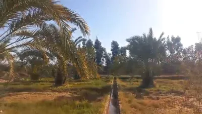 قطعة أرض زراعية للبيع استصلاح أراضي الواحات البحرية