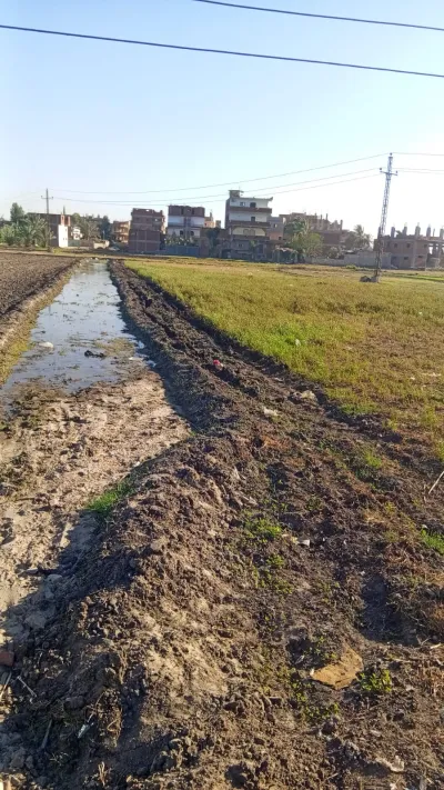 ثلاث قطع ارض زراعيه بجانب الحيز مساحات مختلفه من المابك