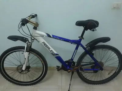 bike peerless