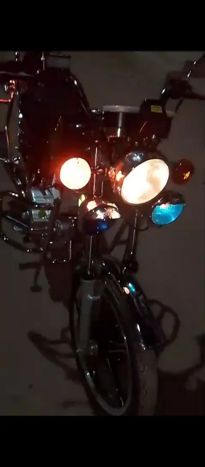 هوجن ٣ حدادى
