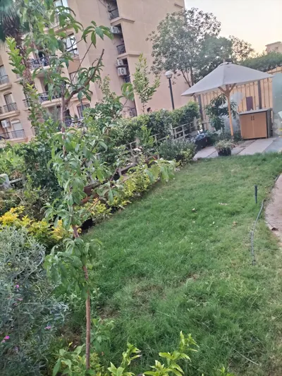 Apartment for rent in Al Rehab City