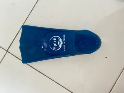 فردة زعانف بطة