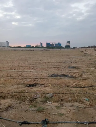 85فدان للبيع