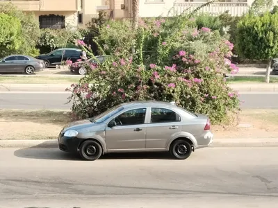 شيفروليه افيو 2009