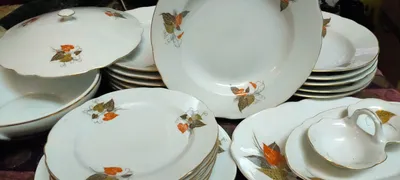 طقم عشاء بورسلين ٢٧قطعه اطباق فقط شينى