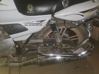 Halawa Tiger 2020