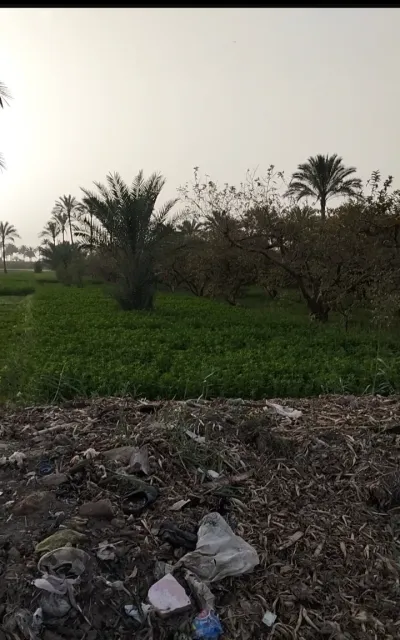 ارض زراعيه