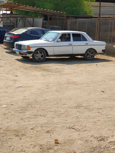 مرسيدس بنز أخرى 1977