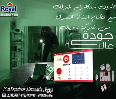 سيستم انذار سرقة اسكندرية