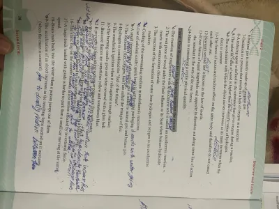 كالبيدا ايطالي اصلي