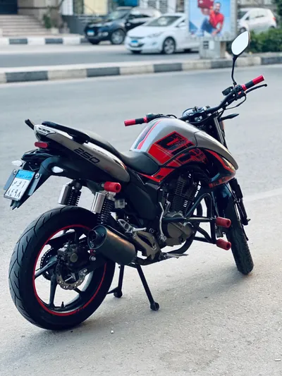 Haojiang L 2023