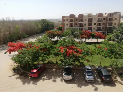Apartment for sale in Calma