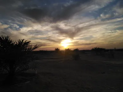 ارض استصلاح زراعي بها بير خاص وطاقه خاصه مزروعه تين وزيتون