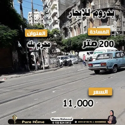 للايجار بدروم مميز في محرم بك 