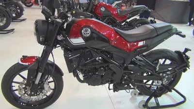 Benelli Leoncino 2021