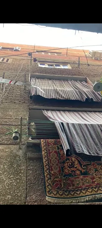 شقه للبيع من المالك