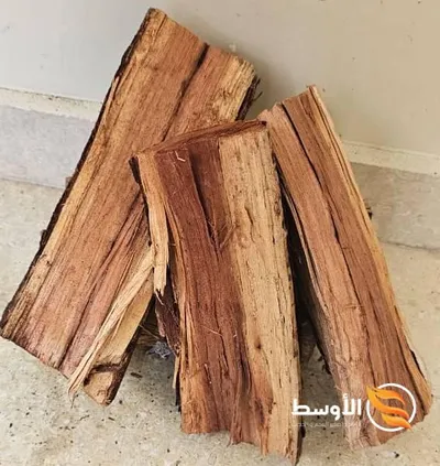 حطب السنط والسمر للتصدير