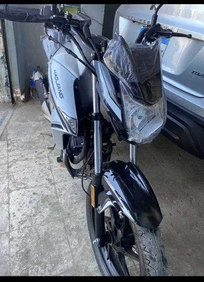 هوجن f250