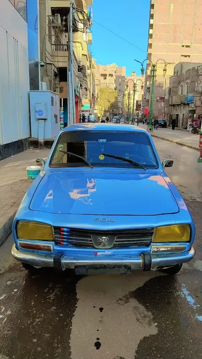 بيجو 504 1977