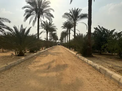 مزرعه +فيلا 
