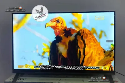 شاشة تلفزيون 32 بوصة رسيفر داخلي فريمليس أي كاست جديدة SyinixE324M