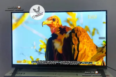 شاشة تلفزيون 32 بوصة Syinix رسيفر داخلي فريمليس ICast