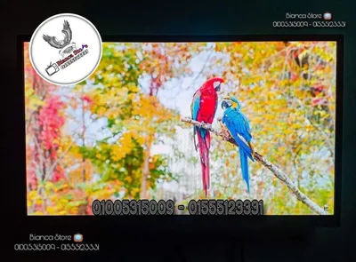 شاشة للبيع 24 بوصة LED FHD IPS سماعات داخلية بالكرتونة و الضمان