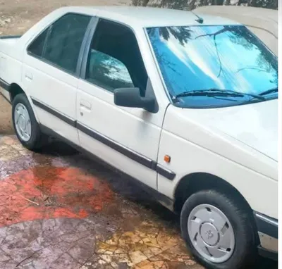 Peugeot 405 1990