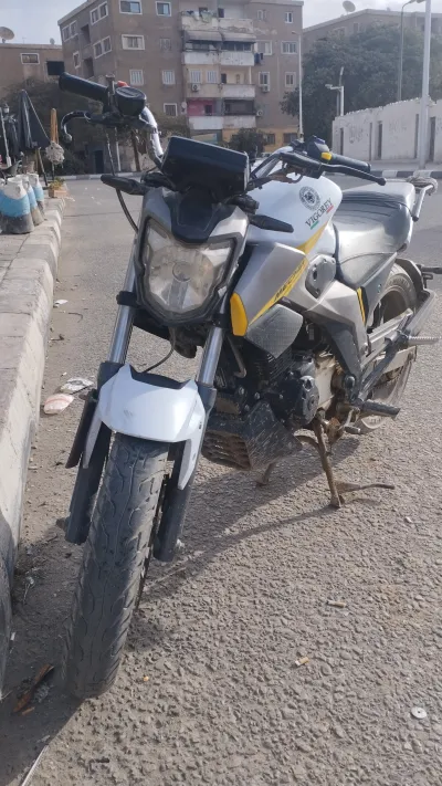 Vigorey 9 2024