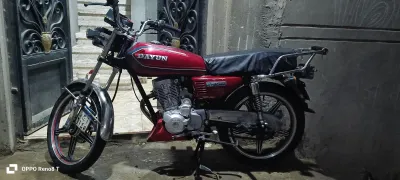 Dayun 2 2014
