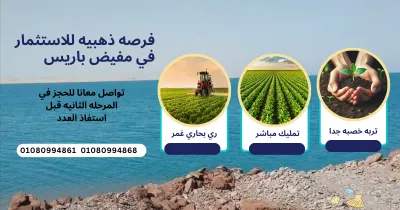 اراضي زراعيه في الوادي الجديد مفيض باريس