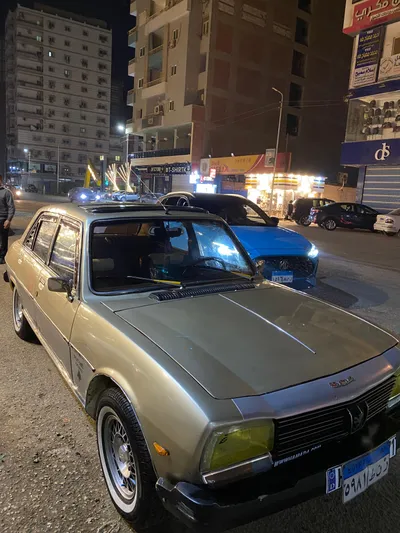 بيجو 504 1979