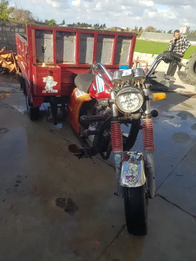Halawa Tiger 2019