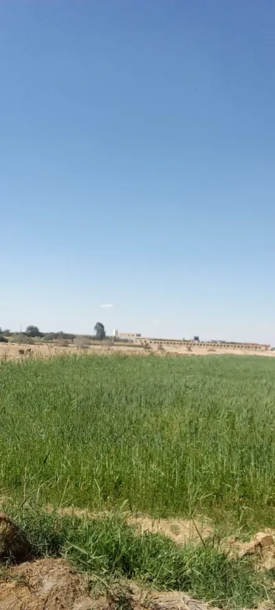 اراضي للبيع في