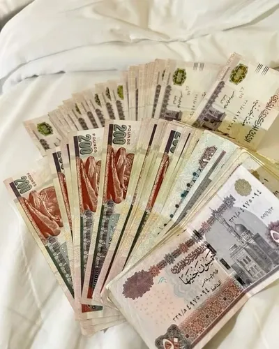 شغل للطلبه 🤍