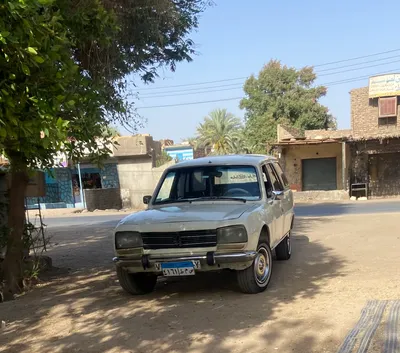 Peugeot 504 1980