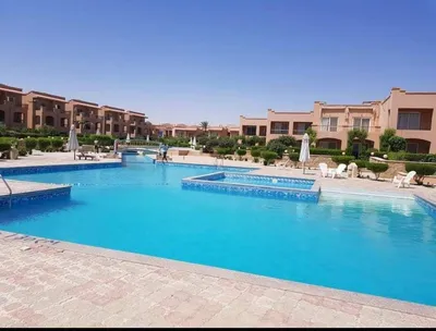 شليه في العين السخنه