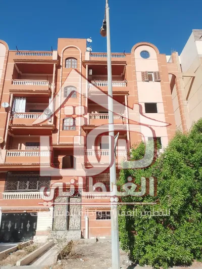 شفة للبيع بالحى الخامس دمياط الجديدة