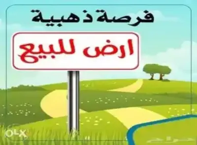 قطع اراضي ف بيت الوطن 