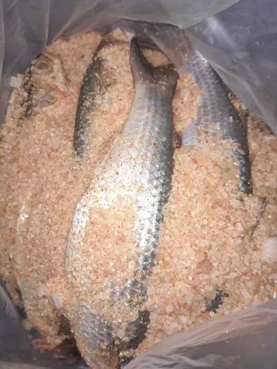 ملوحه بلدي الكيلو 450ج 