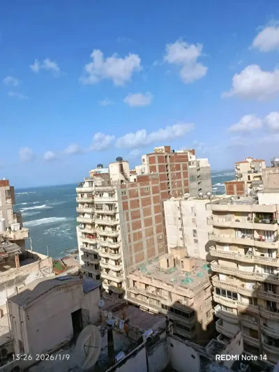 شقة في ميامي اسكندر ابراهيم