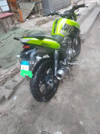 Haojin Other 2022