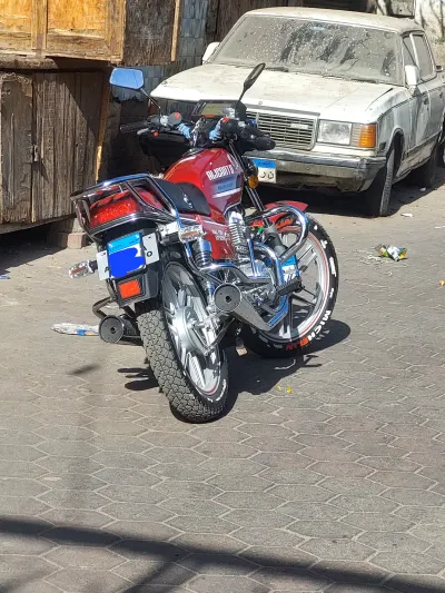 Halawa Alicanto 2025