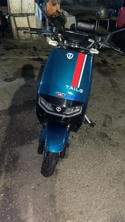 اسكوتر كهرباء Tailg hamster 2000w