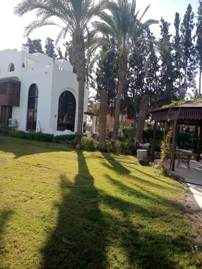 2فيلا مفروشه+4فدان مانجومثمرة ملك نهائي مسجل شهر عقاري