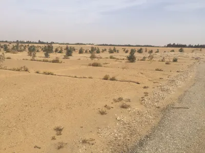قطعه ارض للبيع في الوادي الاخضر 15 فدان امام المطار