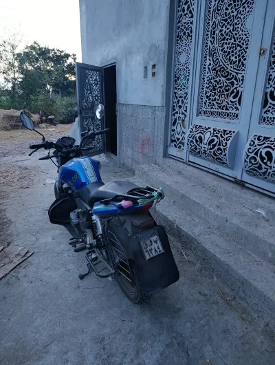 فيجورى 6 رخصة ٦ شهور